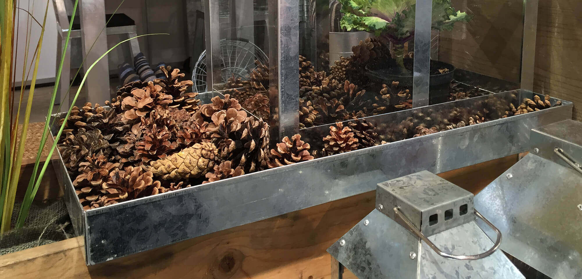 Bodenschale Maxi für Gewächshaus, verzink