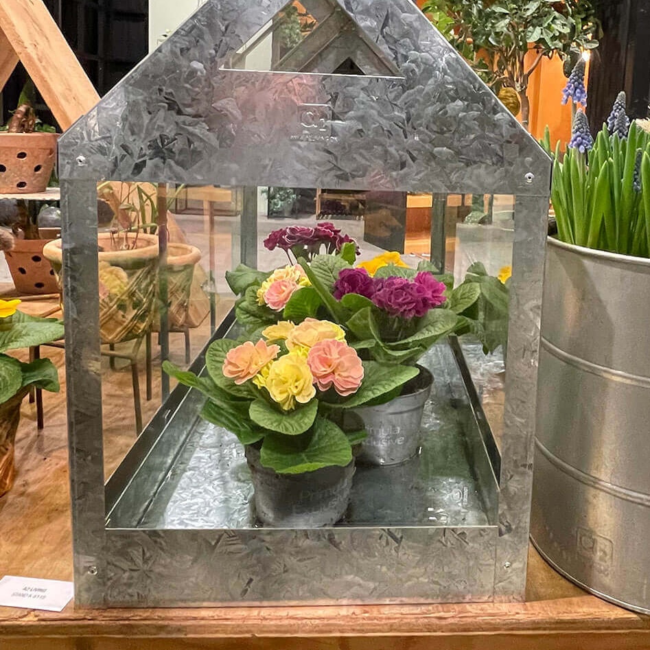 Bodenschale Maxi für Gewächshaus, verzink