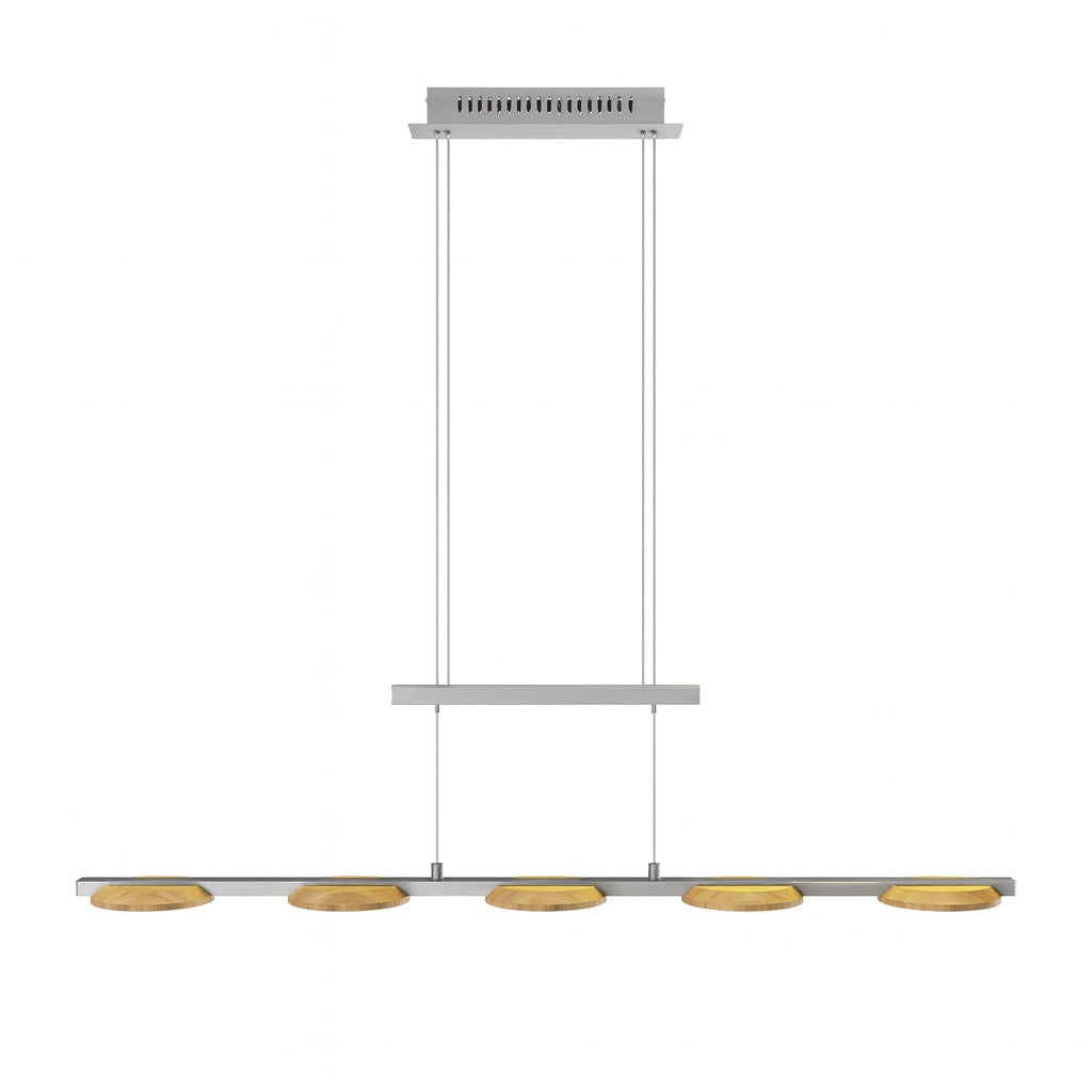 Argentina Motion pendant light