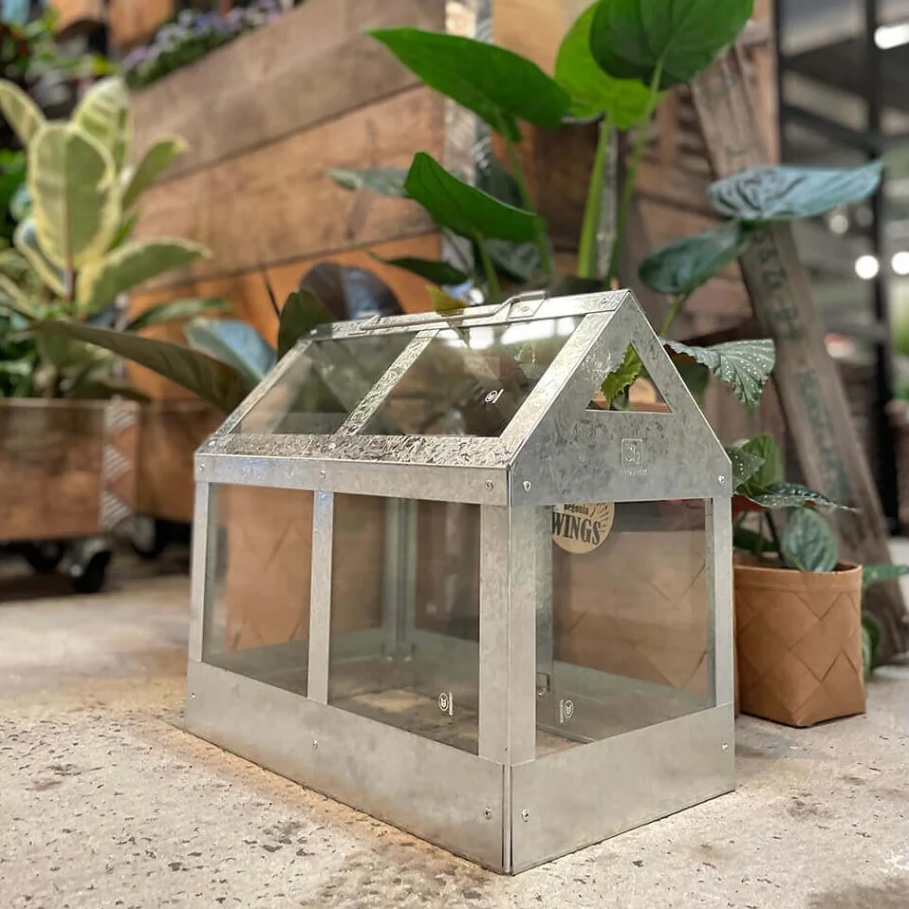 Mini-Gewächshaus verzinkt mit Sicherheitsglas